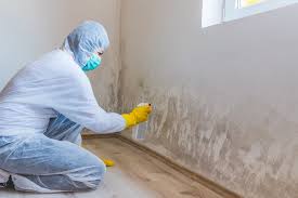 Best Crawl Space Mold Remediation  in Cliffside Park, NJ